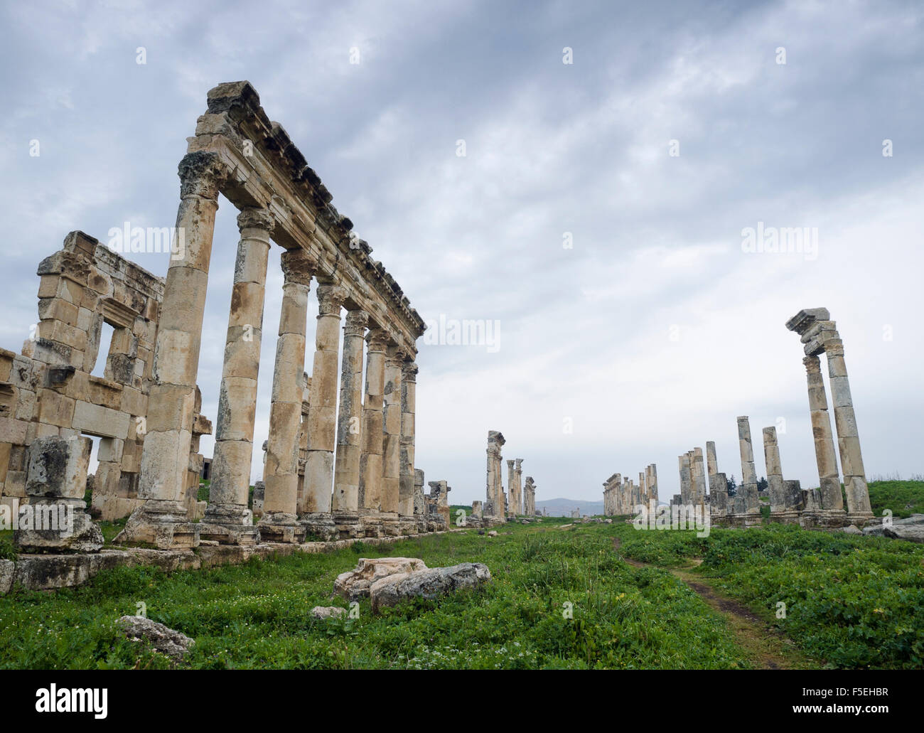 Ruines de l'ancienne cité romaine, la Syrie Hama, colonnade Banque D'Images