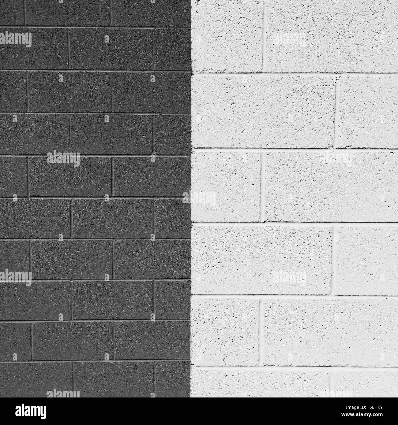 Gros plan d'une moitié moitié blanc et gris brick wall Banque D'Images