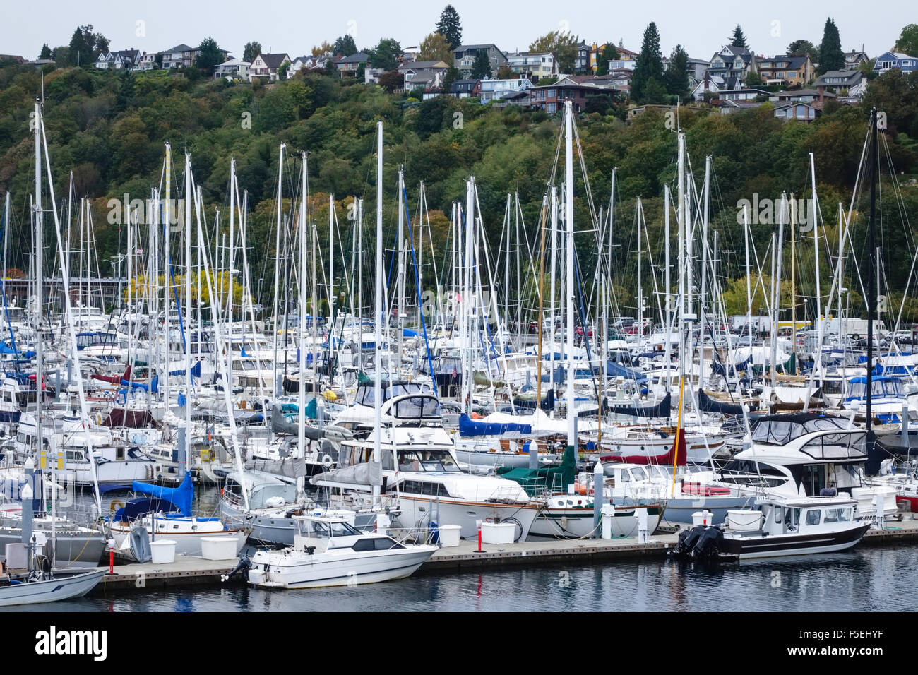 Yachts dans Shilshole Bay Marina, Seattle, Washington, USA Banque D'Images