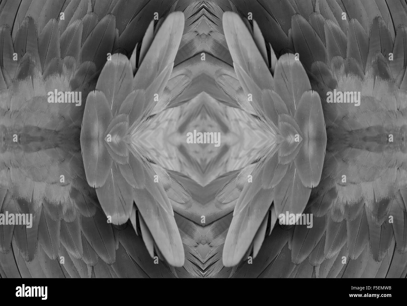 Beau vert-winged Macaw (Ara chloropterus) retour feather Banque D'Images