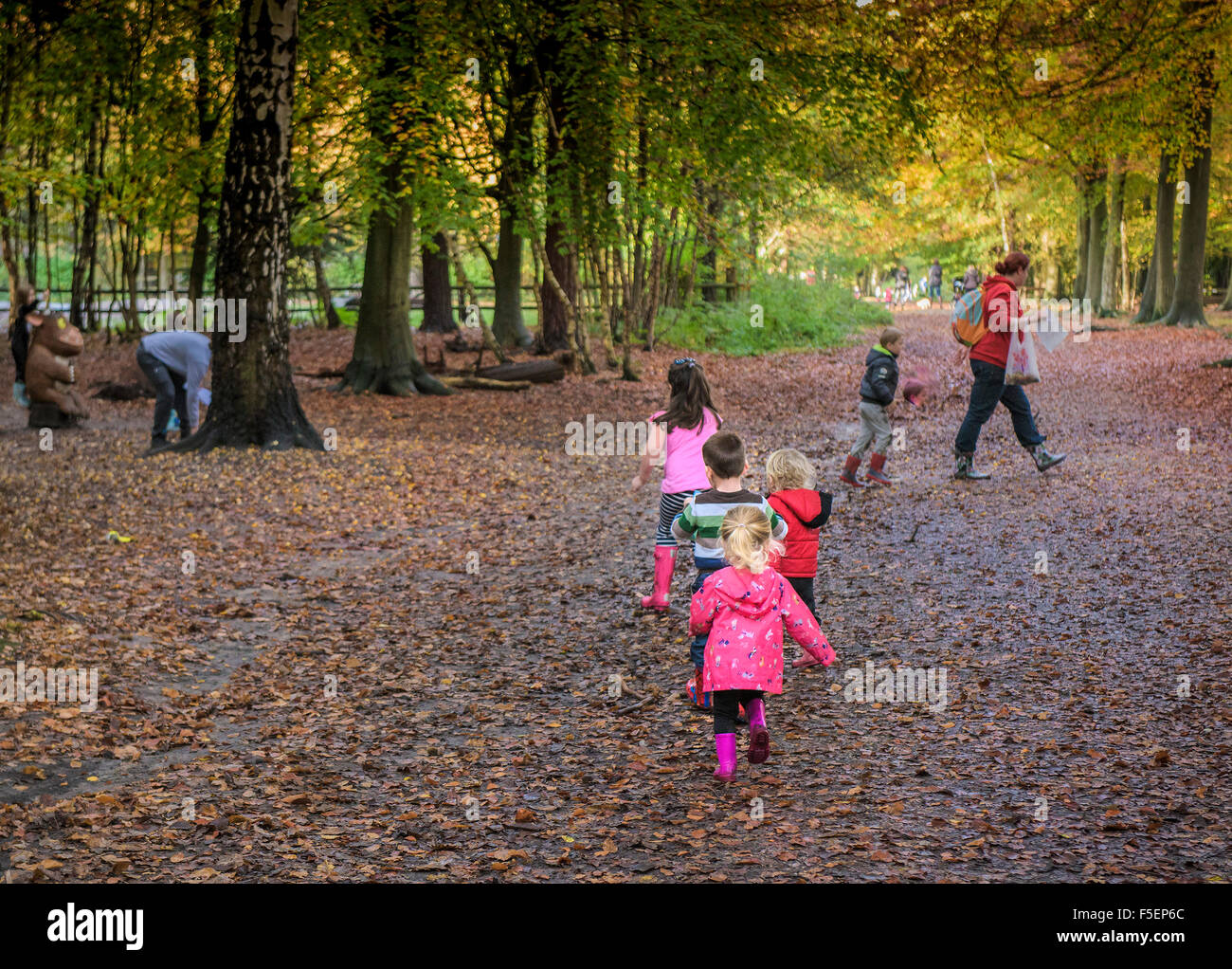 Enfants jouant dans une forêt d'automne dans l'Essex, Angleterre, Royaume-Uni. Banque D'Images