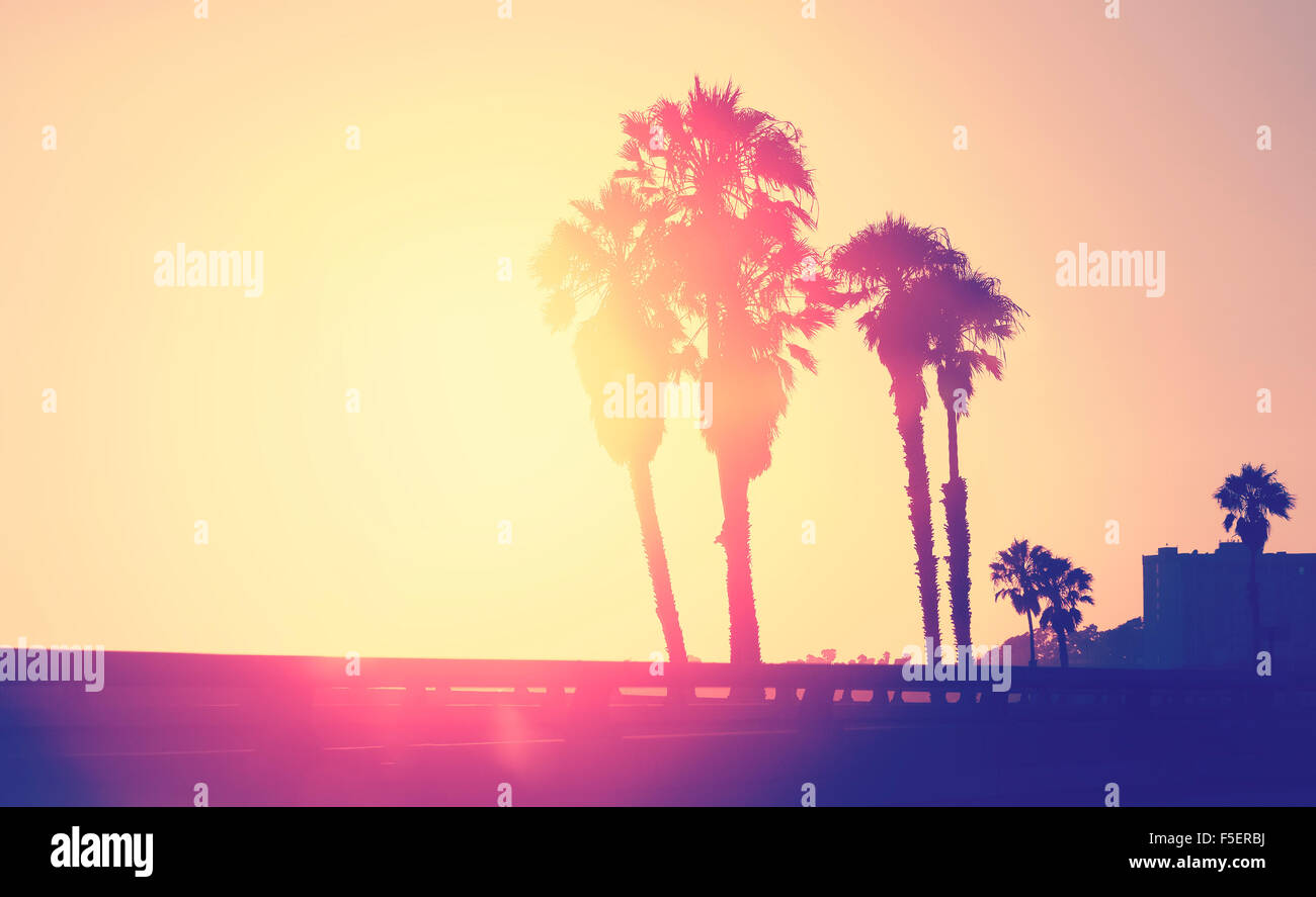 Vintage photo stylisée de silhouettes de palmiers au coucher du soleil, de l'espace pour texte, Santa Monica, USA. Banque D'Images
