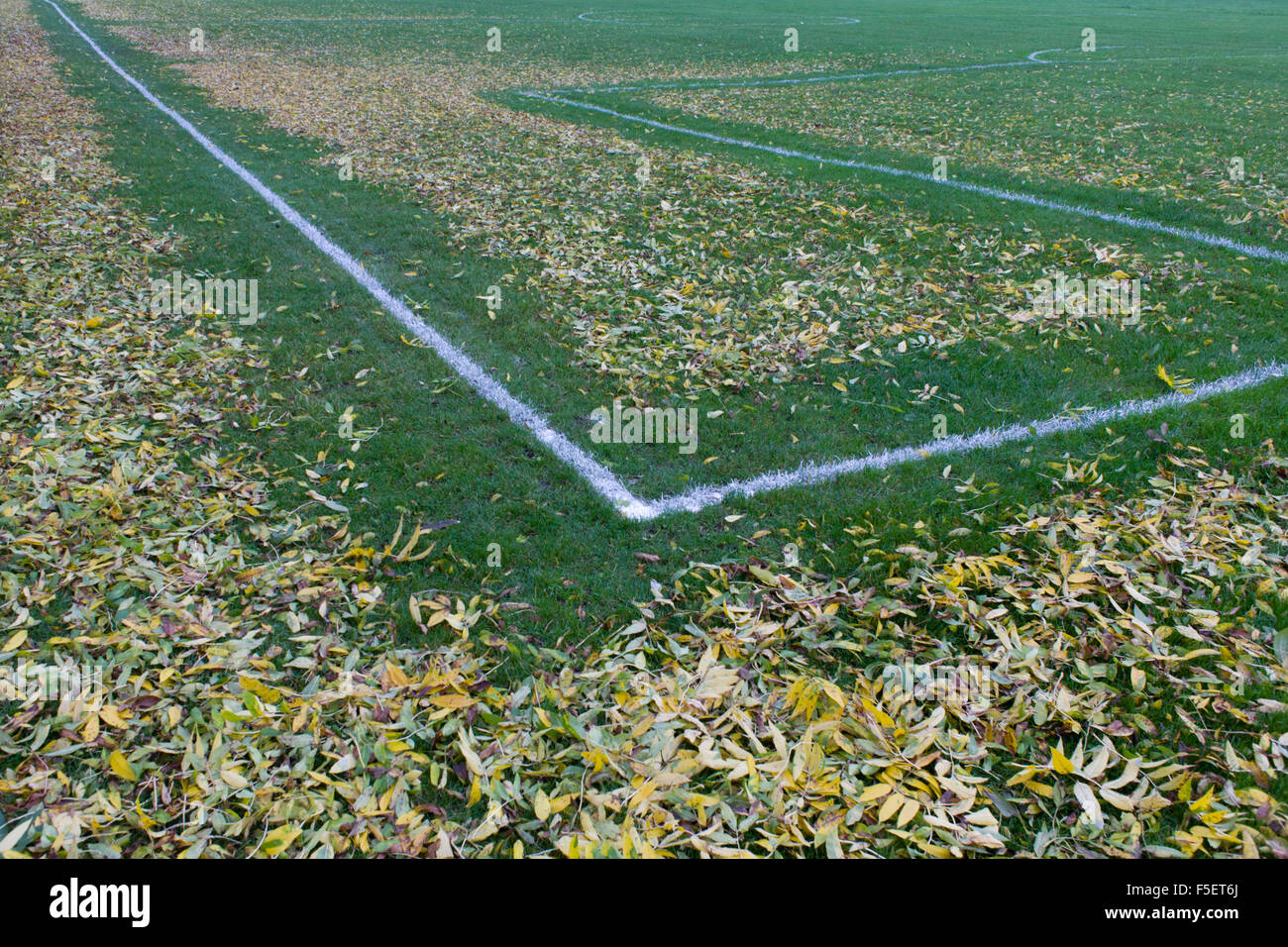 Les feuilles de frais généraux est passé de frênes ont été soufflés par les lignes de terrain de football à Ruskin travailleurs conseil Park, Londres. Banque D'Images