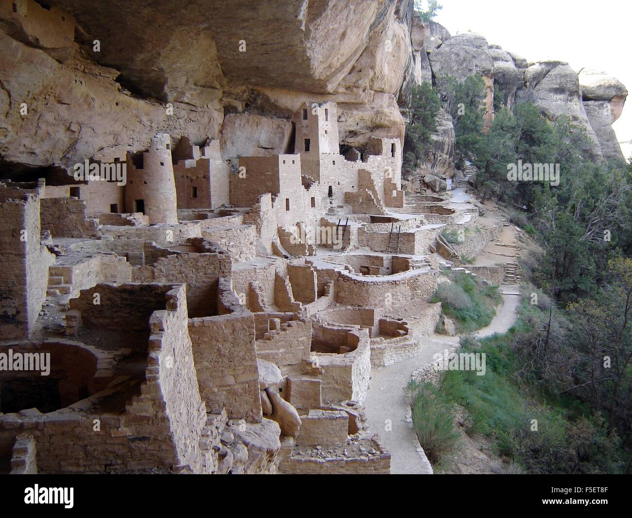 Cliff Palace d'habitation construites par Pueblo ancestrales autochtones américains partie de Mesa Verde National Park dans le sud-ouest du Colorado. Banque D'Images