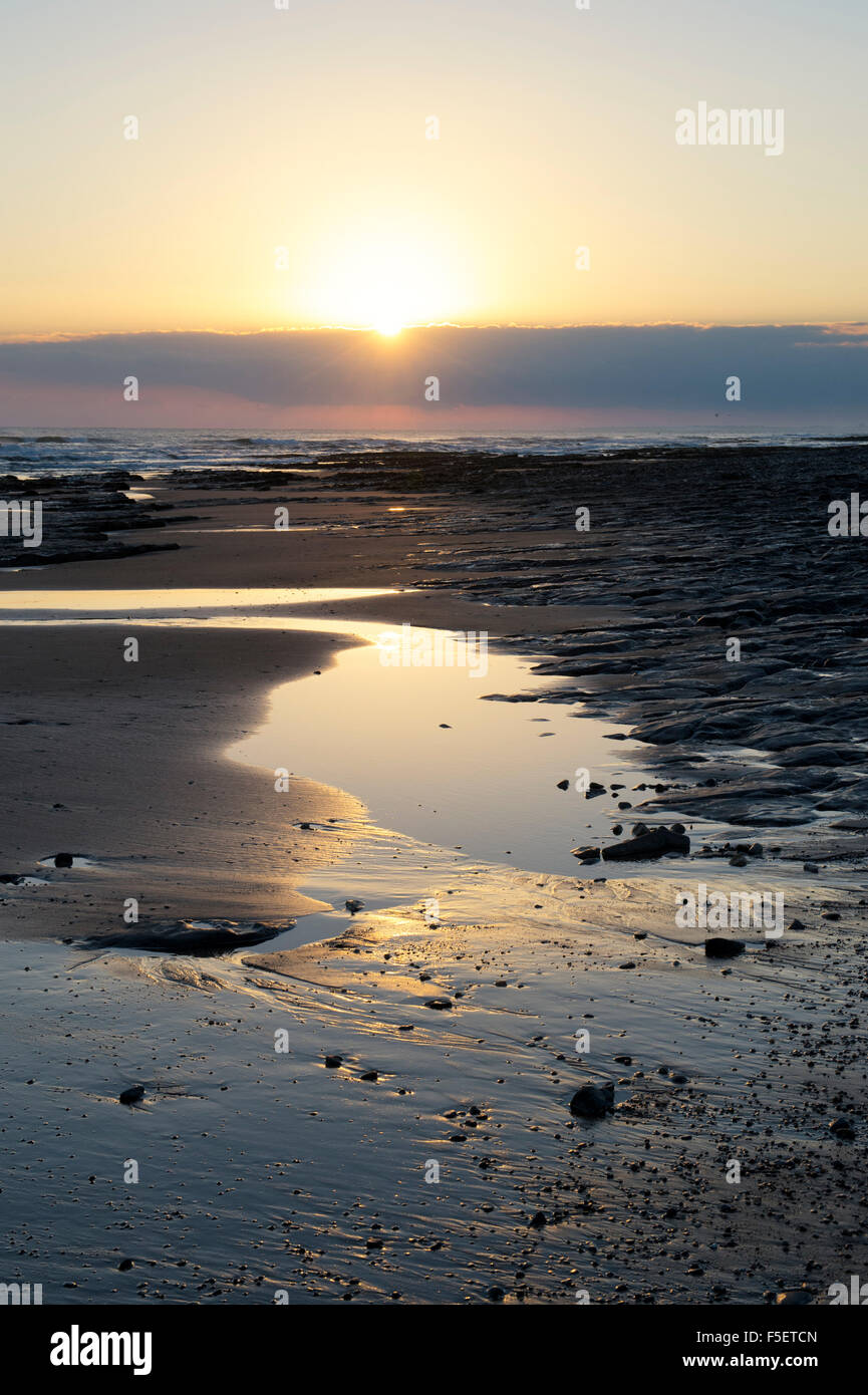 Lever du soleil à marée basse sur une plage de Northumberland, Angleterre Banque D'Images