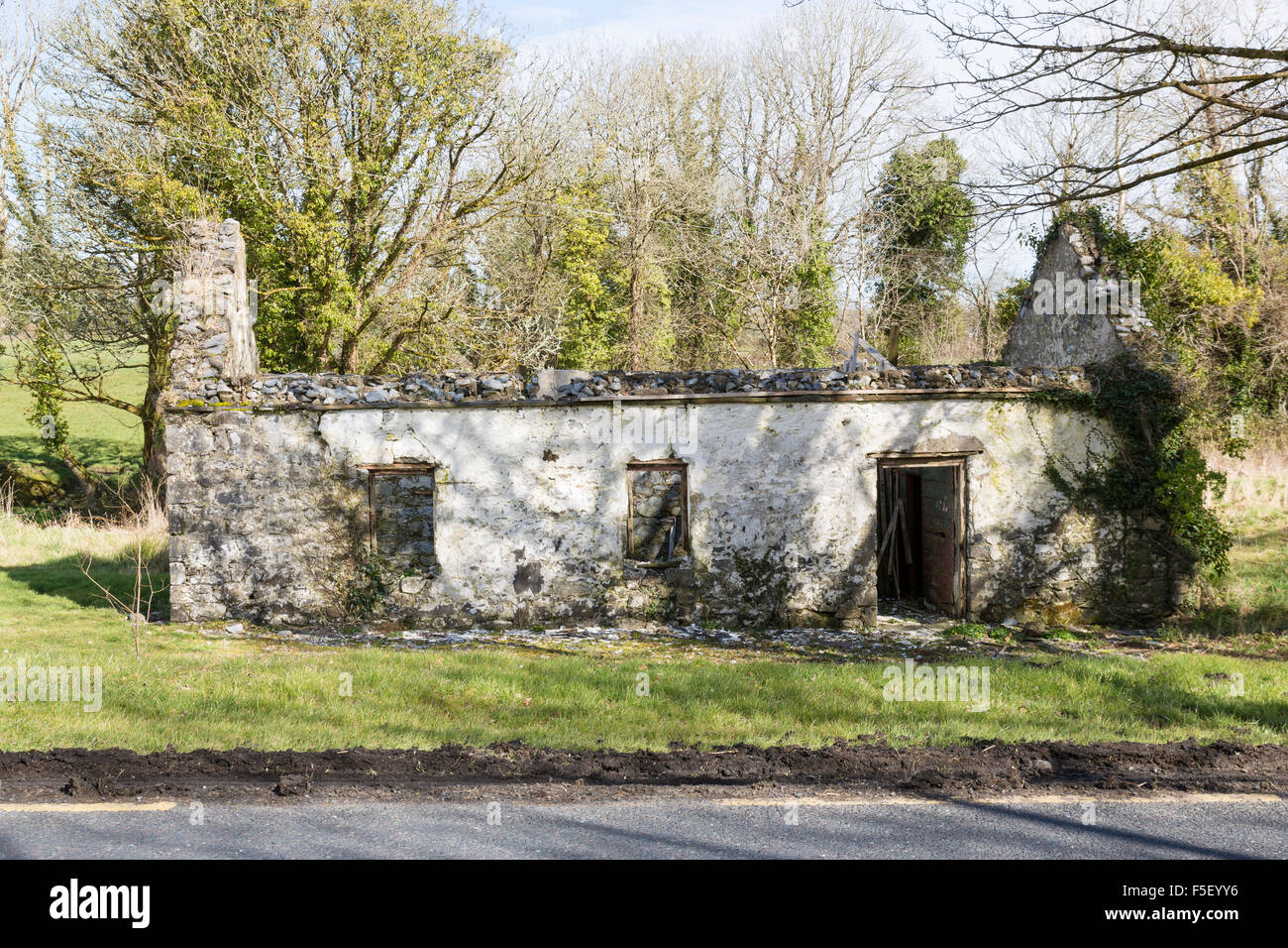 Ancien cottage irlandais abandonnés, comté de Limerick, Irlande Banque D'Images