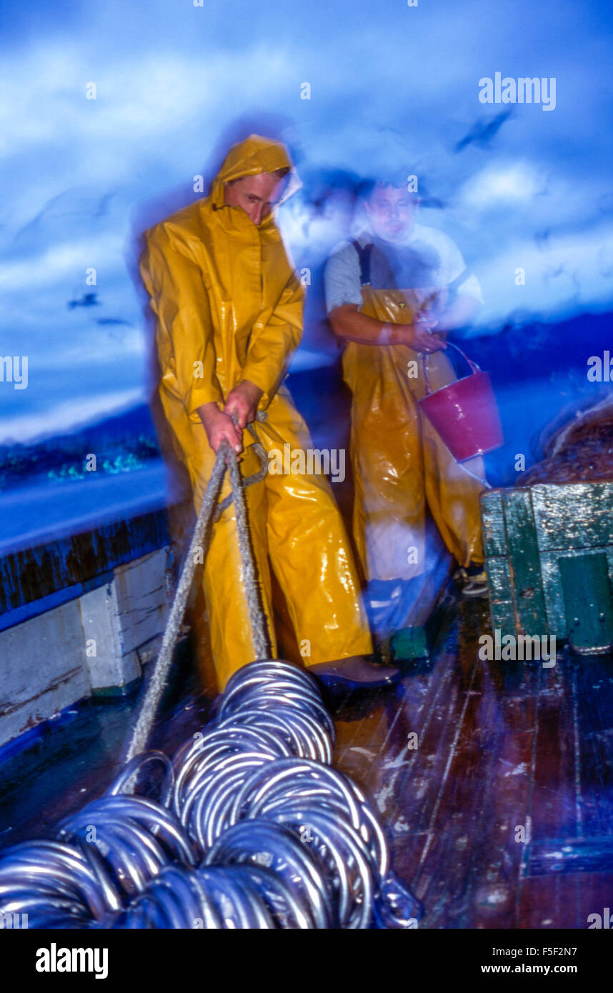 Les prises des pêcheurs avec matin le port croate de Rijeka Banque D'Images