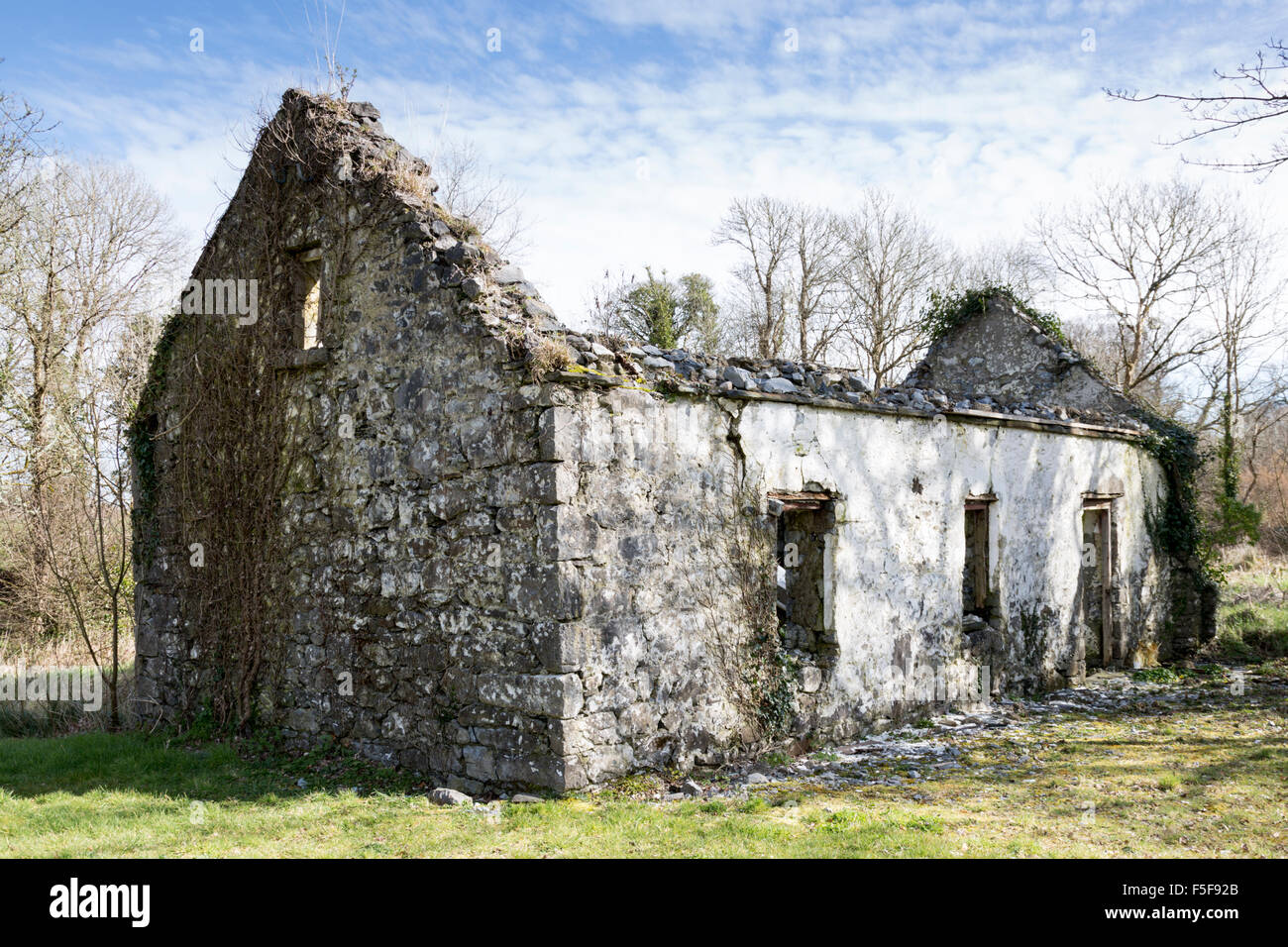 Ancien cottage irlandais abandonnés, comté de Limerick, Irlande Banque D'Images