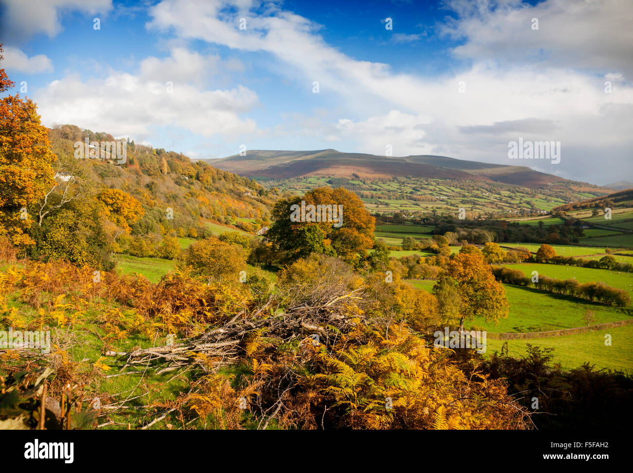 À l'automne de Brecon Beacons Montagnes Noires de Bwlch Powys South Wales UK Banque D'Images