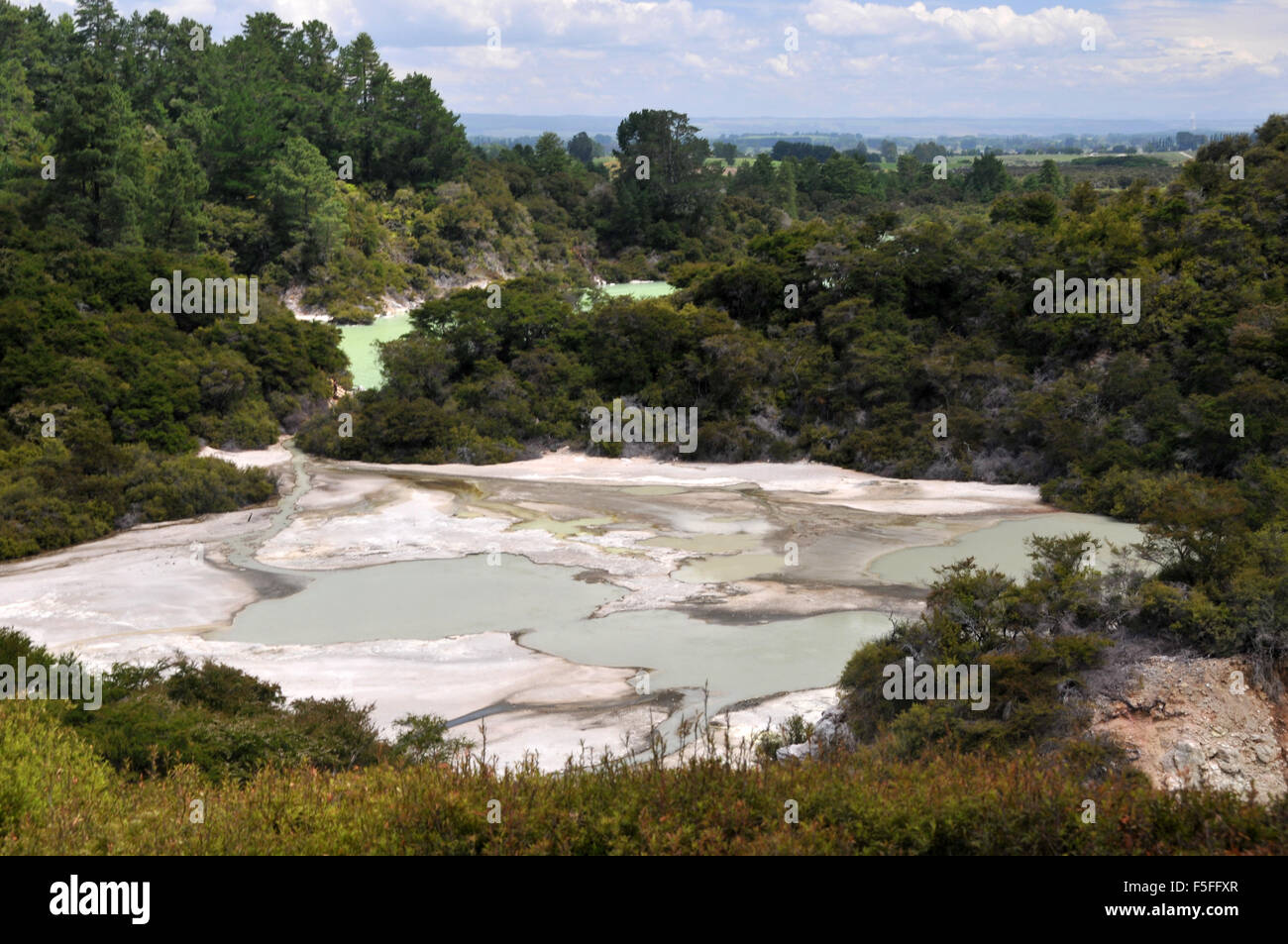 Source thermale, Waiotapu Thermal Wonderland, Rotorua, île du Nord, Nouvelle-Zélande Banque D'Images