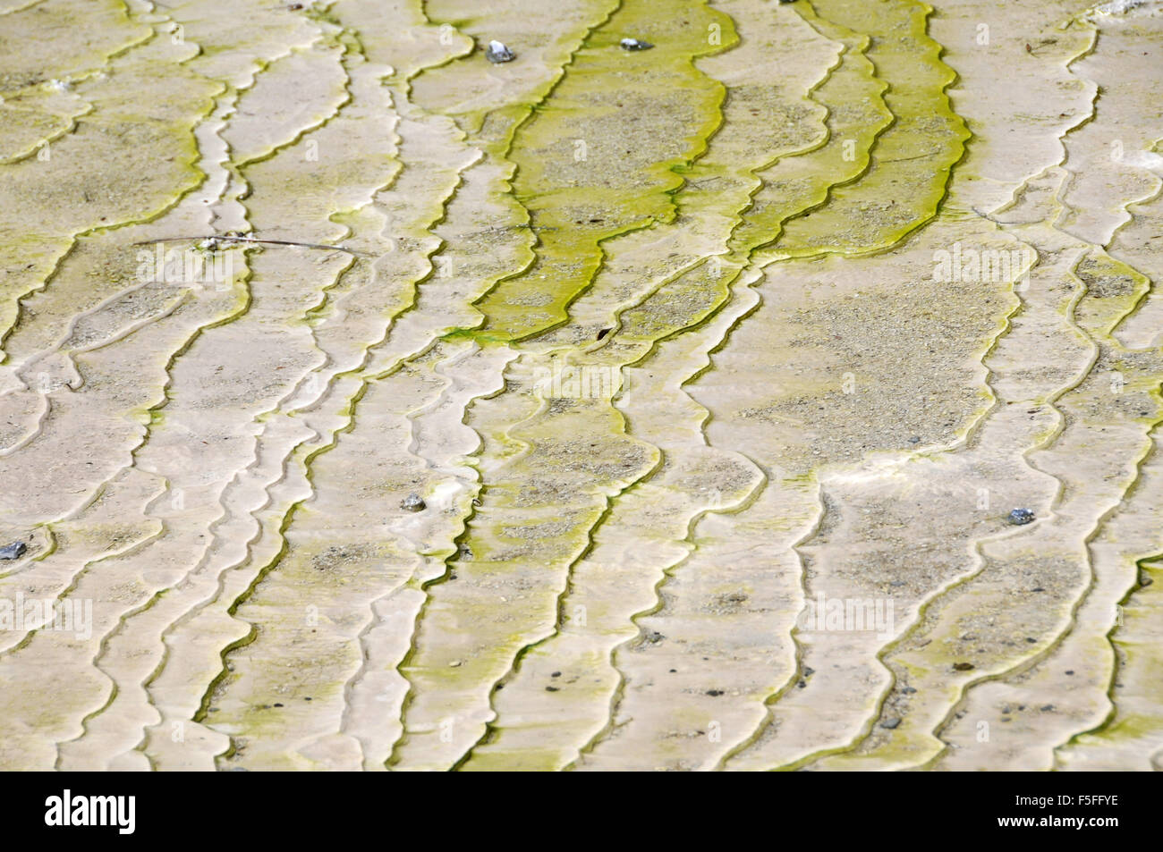 Les dépôts de minéraux à Waiotapu Thermal Wonderland, Rotorua, île du Nord, Nouvelle-Zélande Banque D'Images