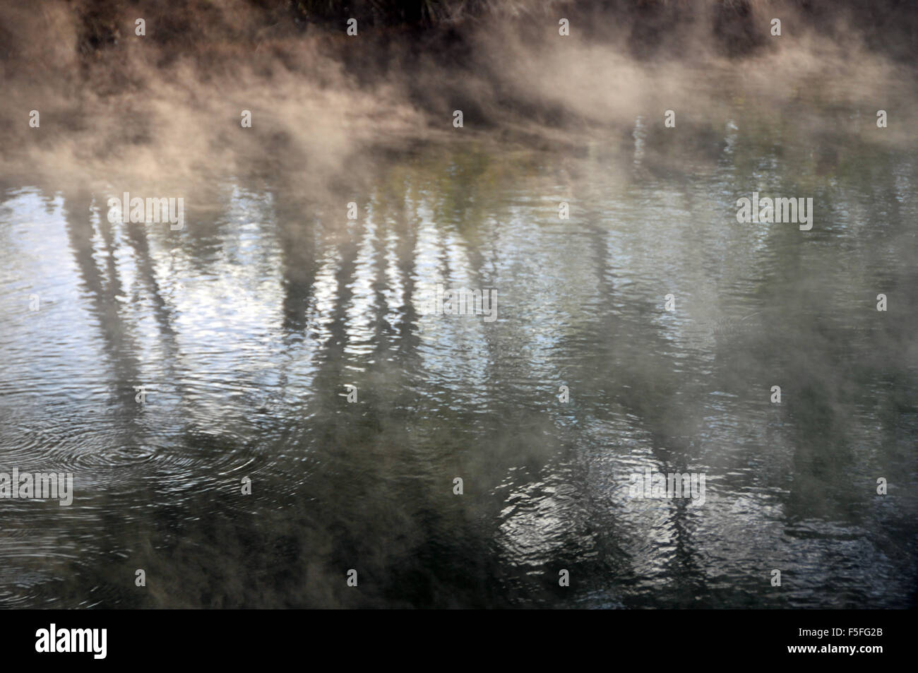 Réflexions de lac thermal, Rotorua, île du Nord, Nouvelle-Zélande Banque D'Images