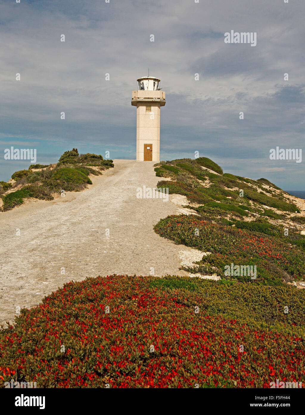 Le phare de Cape Spencer s'élevant dans ciel d'orage au-dessus de masses de fleurs rouge de Templetonia retusa sur la péninsule de Yorke l'Aust Banque D'Images