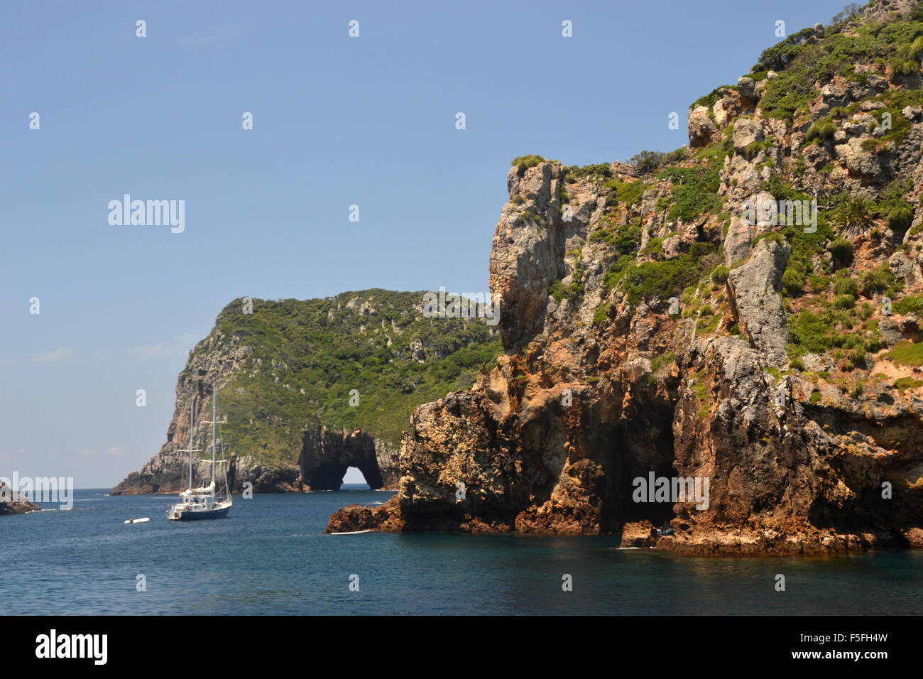 L'île d'Archway, Tawhiti Rahi, réserve naturelle de Poor Knights Islands, Bay of Islands, Île du Nord, Nouvelle-Zélande Banque D'Images