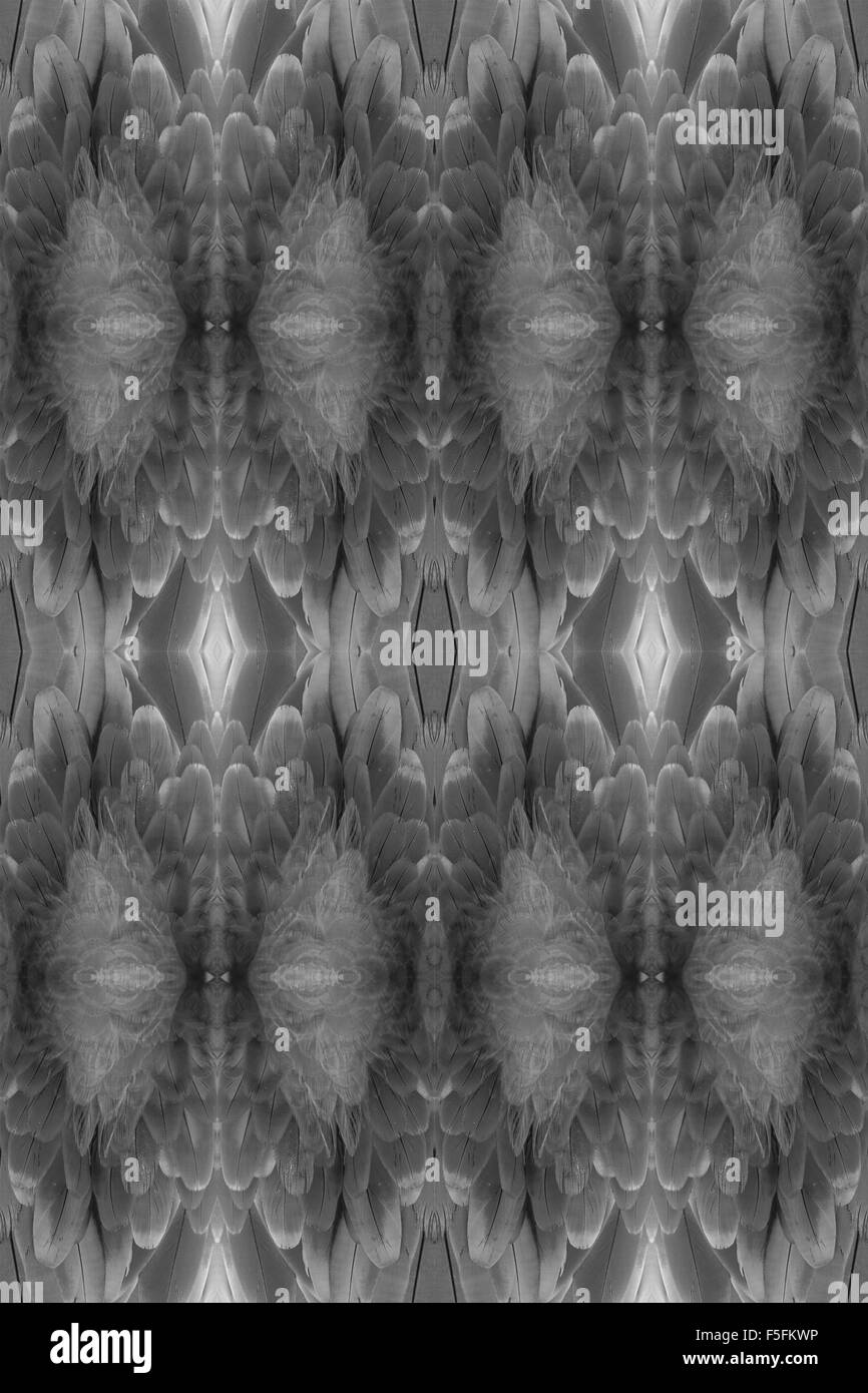 Beau vert-winged Macaw (Ara chloropterus) retour feather Banque D'Images