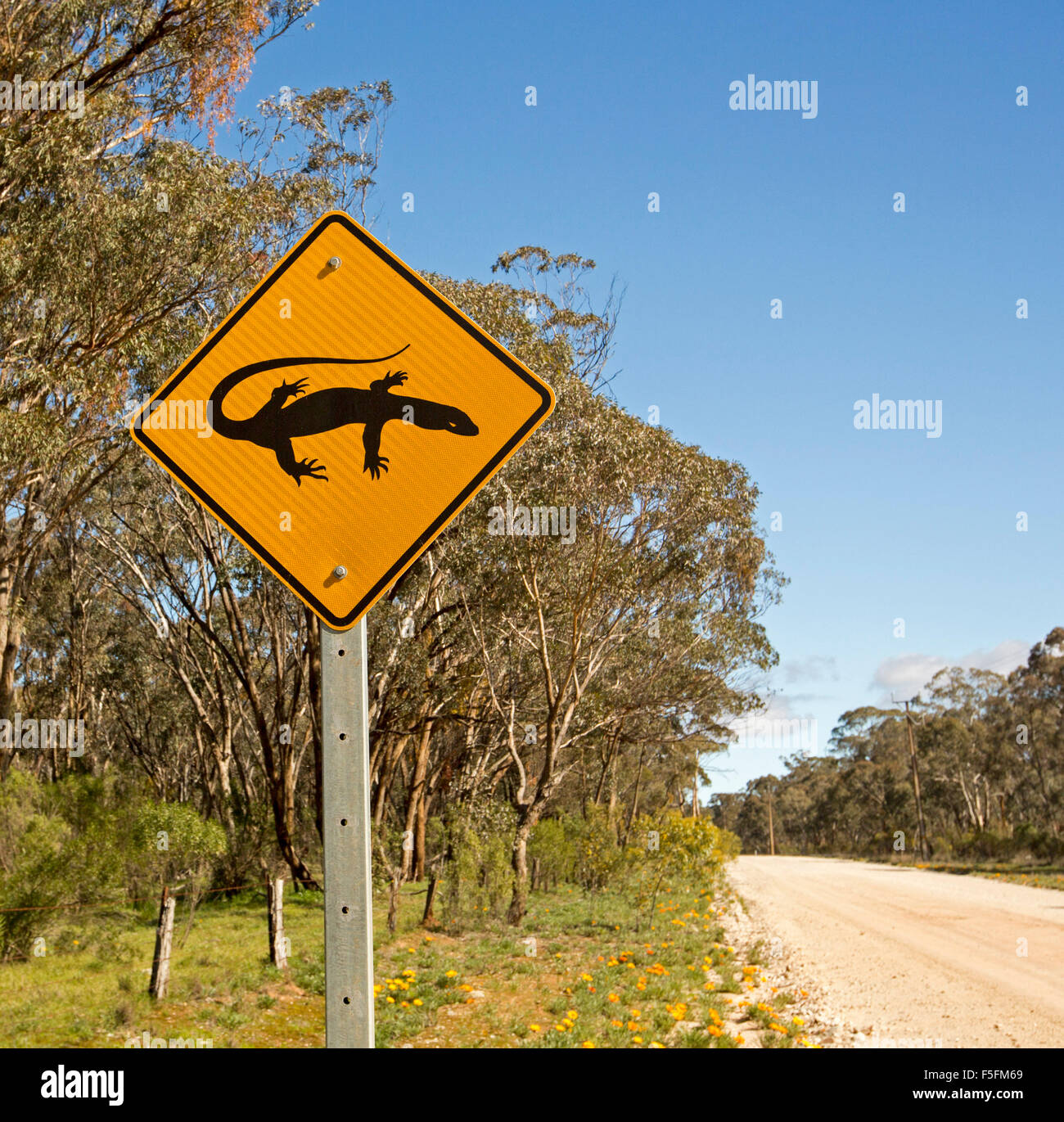 Avertissement signe de présence de lézards goannas, passage à niveau, route de gravier à travers des bois dans la région rurale du sud de l'Australie Banque D'Images