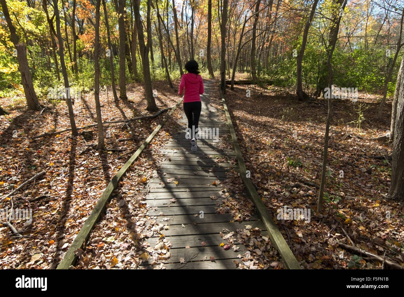 Seule femme d'âge moyen court seul sur un jour d'automne dans les bois à Lincoln Park, Lexington, MA Banque D'Images