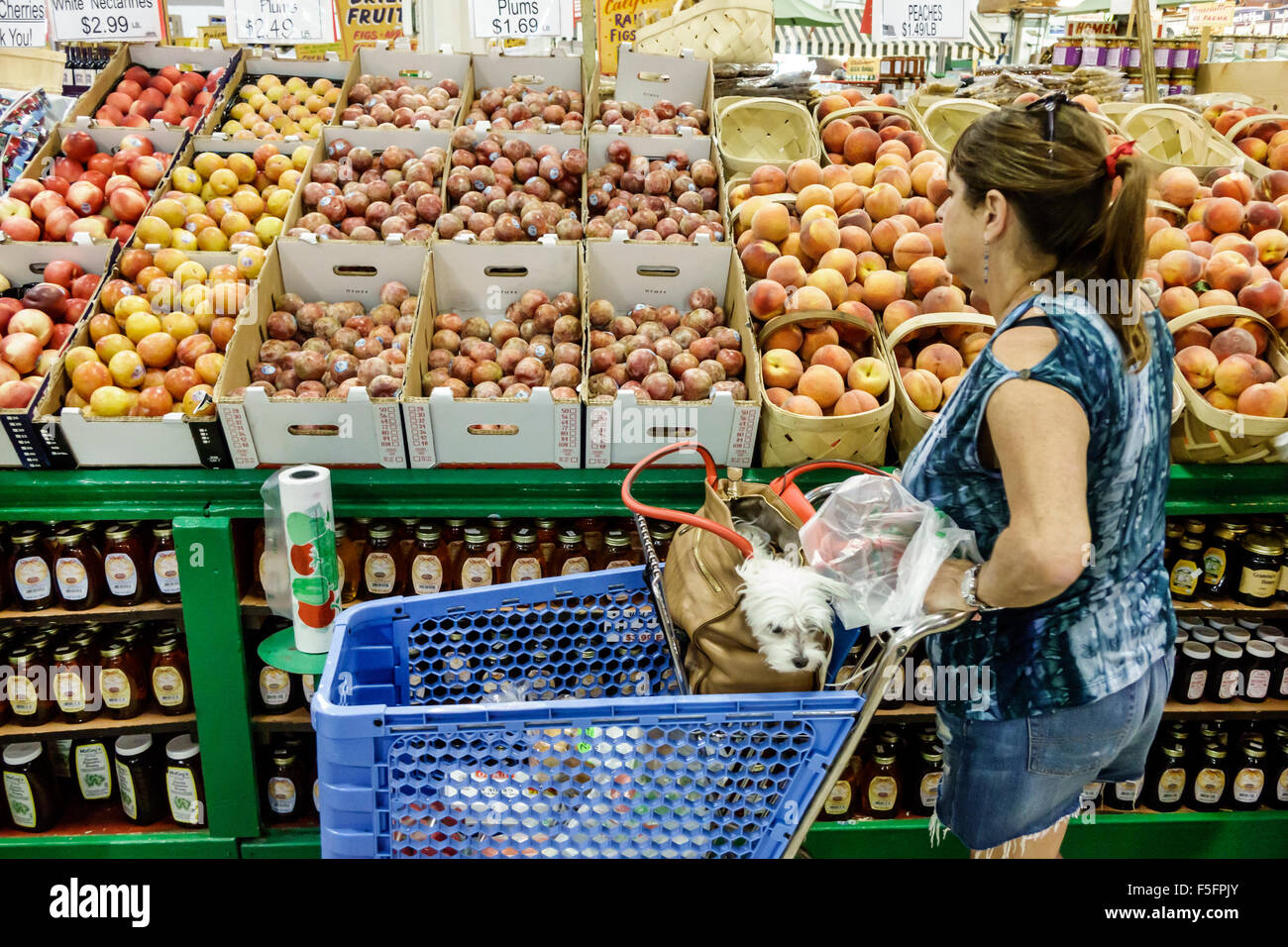 Delray Beach Florida, le marché des fermiers garçons, épicerie, supermarché, nourriture, afficher les produits de vente, femme femmes, shopping shopper shoppers shop sho Banque D'Images