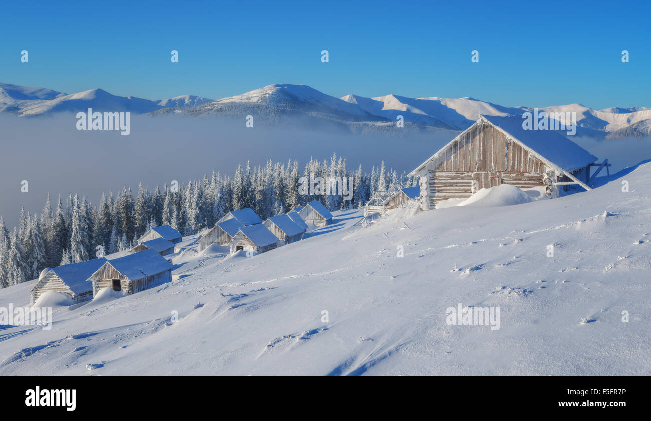Paysage fantastique par lumière du soleil rougeoyant. Scène hivernale spectaculaire avec snowy chambre. Carpates, l'Ukraine, l'Europe. Banque D'Images