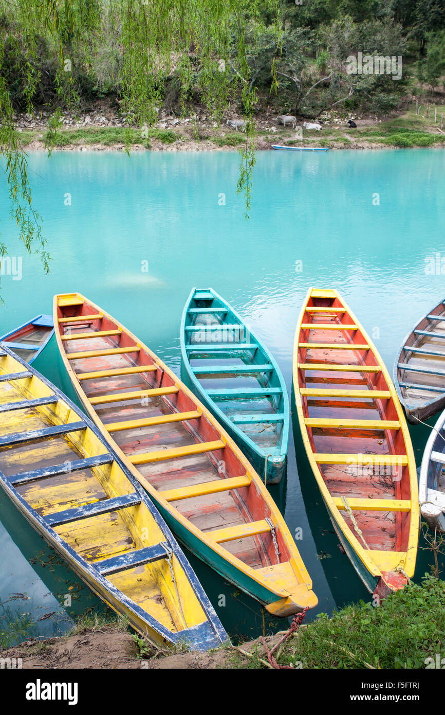 Des canots colorés amarrés sur la rive de la rivière Tampaon, dans la région de Huasteca Potosina, à San Luis Potosi, au Mexique. Banque D'Images