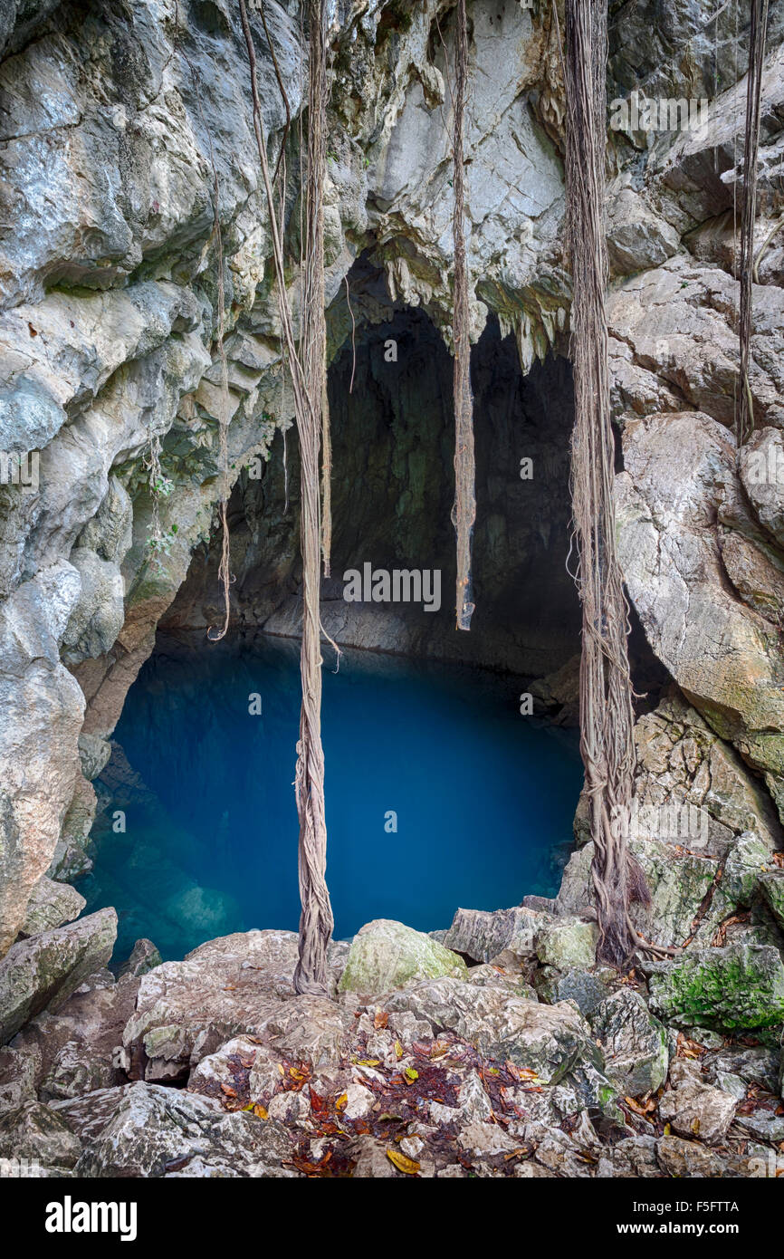 Bleu profond de la Cueva del Agua en la près de chutes d'Huasteca Potosina Tamul, San Luis Potosi, au Mexique. Banque D'Images