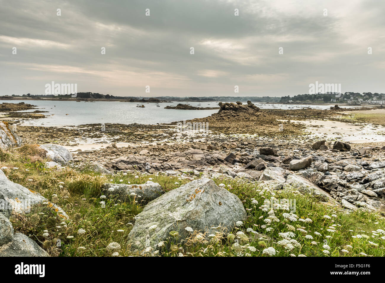 Rivage et des bateaux de pêche à marée basse, Bretagne, France Banque D'Images