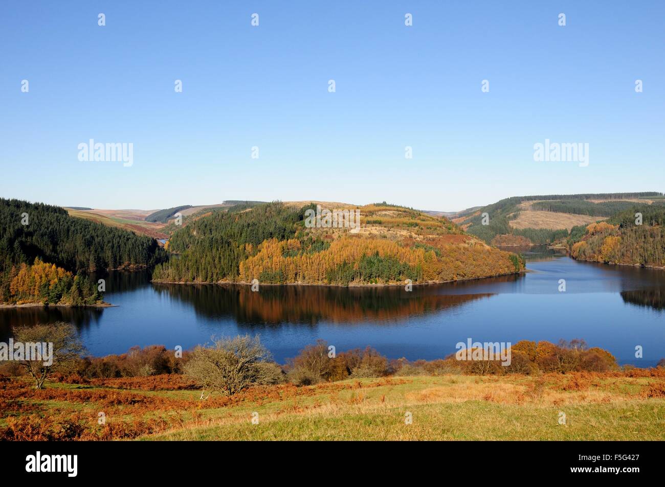 Couleurs d'automne et réflexions Llyn Brianne Cambrian Mountains Wales Cymru UK GO Banque D'Images