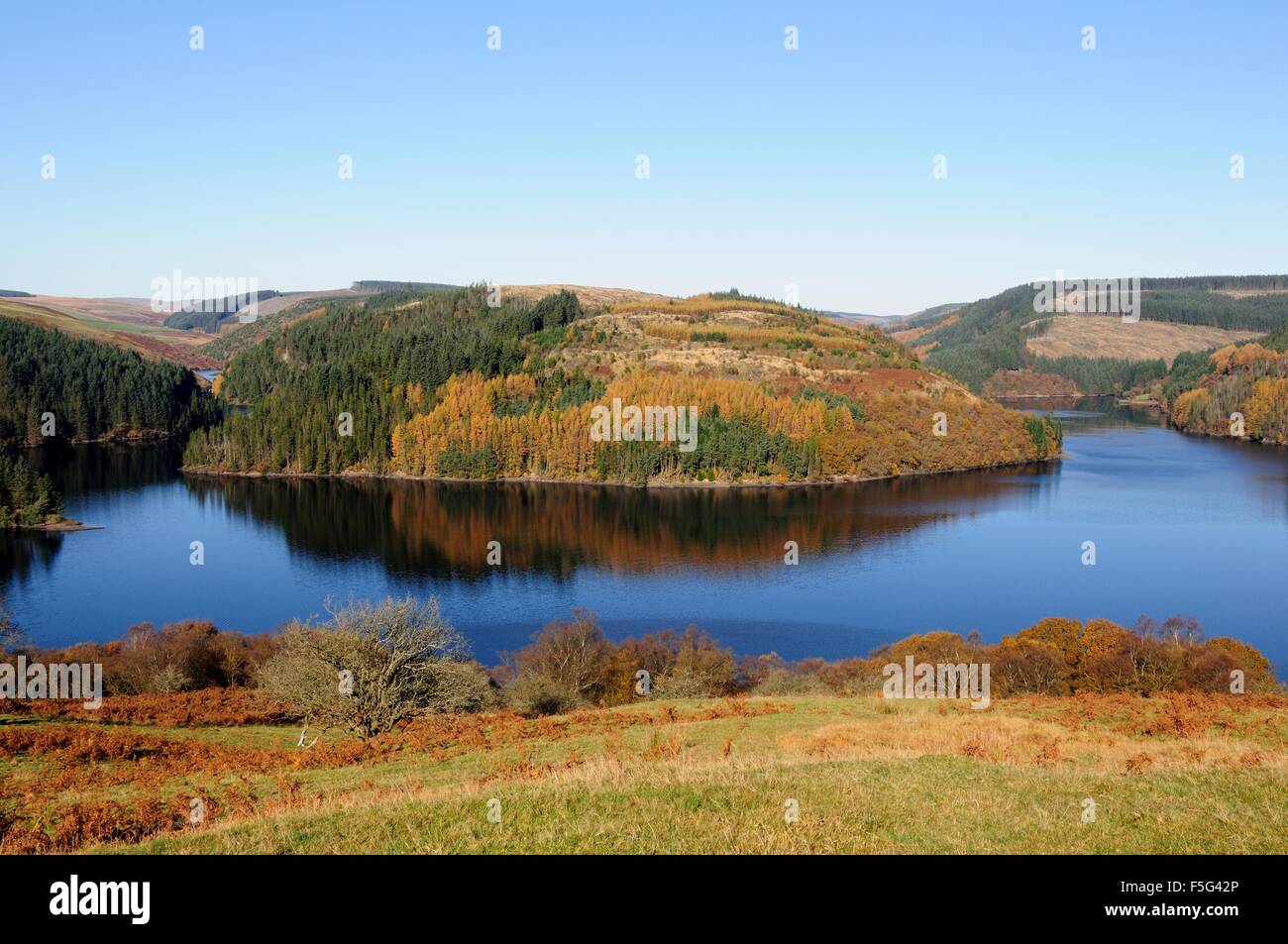 Couleurs d'automne et réflexions Llyn Brianne Cambrian Mountains Wales Cymru UK GO Banque D'Images