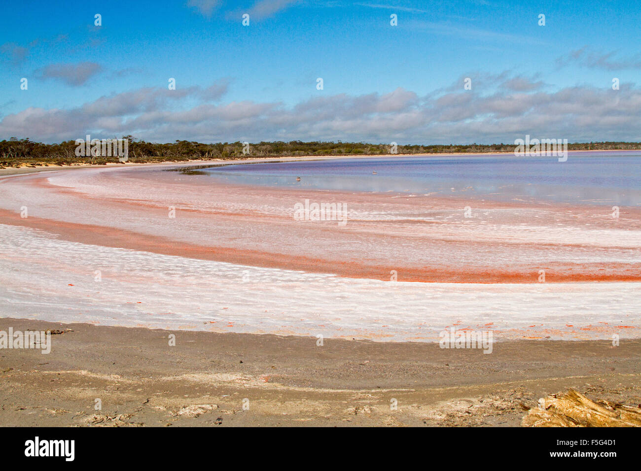 Vaste paysage de l'outback avec des couches de sel rose bleu et rose calme à côté d'eaux du lac dans le parc national de l'Australie Murray Sunset Banque D'Images