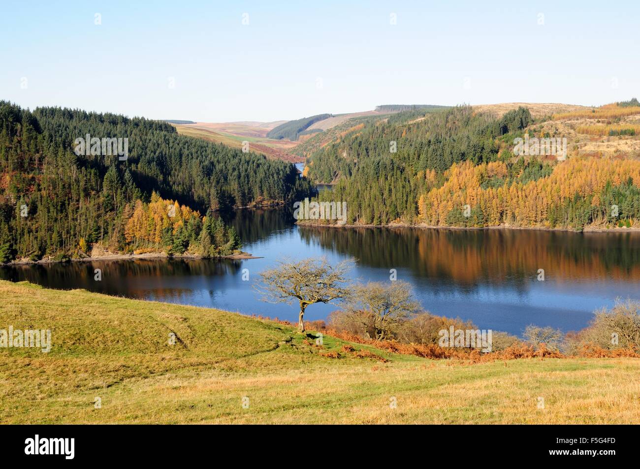 Couleurs d'automne et réflexions Llyn Brianne Cambrian Mountains Wales Cymru UK GO Banque D'Images