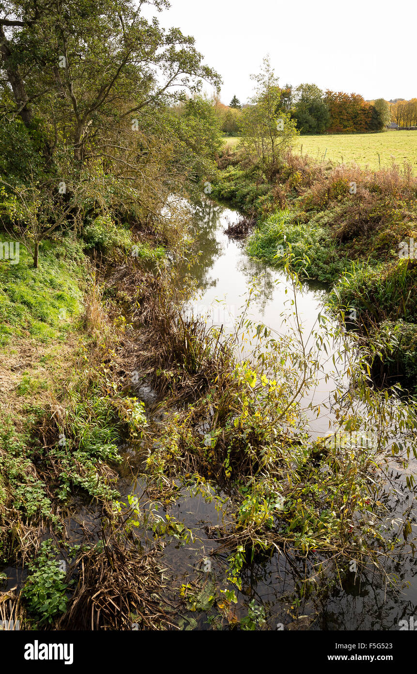 La rivière qui coule à travers la végétation Marden Stanley dans le Wiltshire UK Banque D'Images