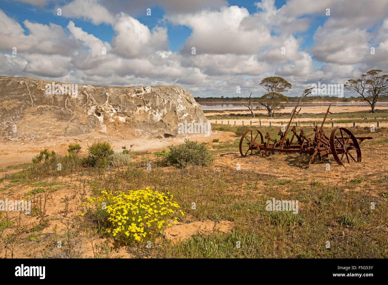 L'équipement minier historique & Tas de sel dans paysage avec des fleurs jaune à côté du lac de sel rose Murray en Australie de l'outback du Parc National au coucher du soleil Banque D'Images