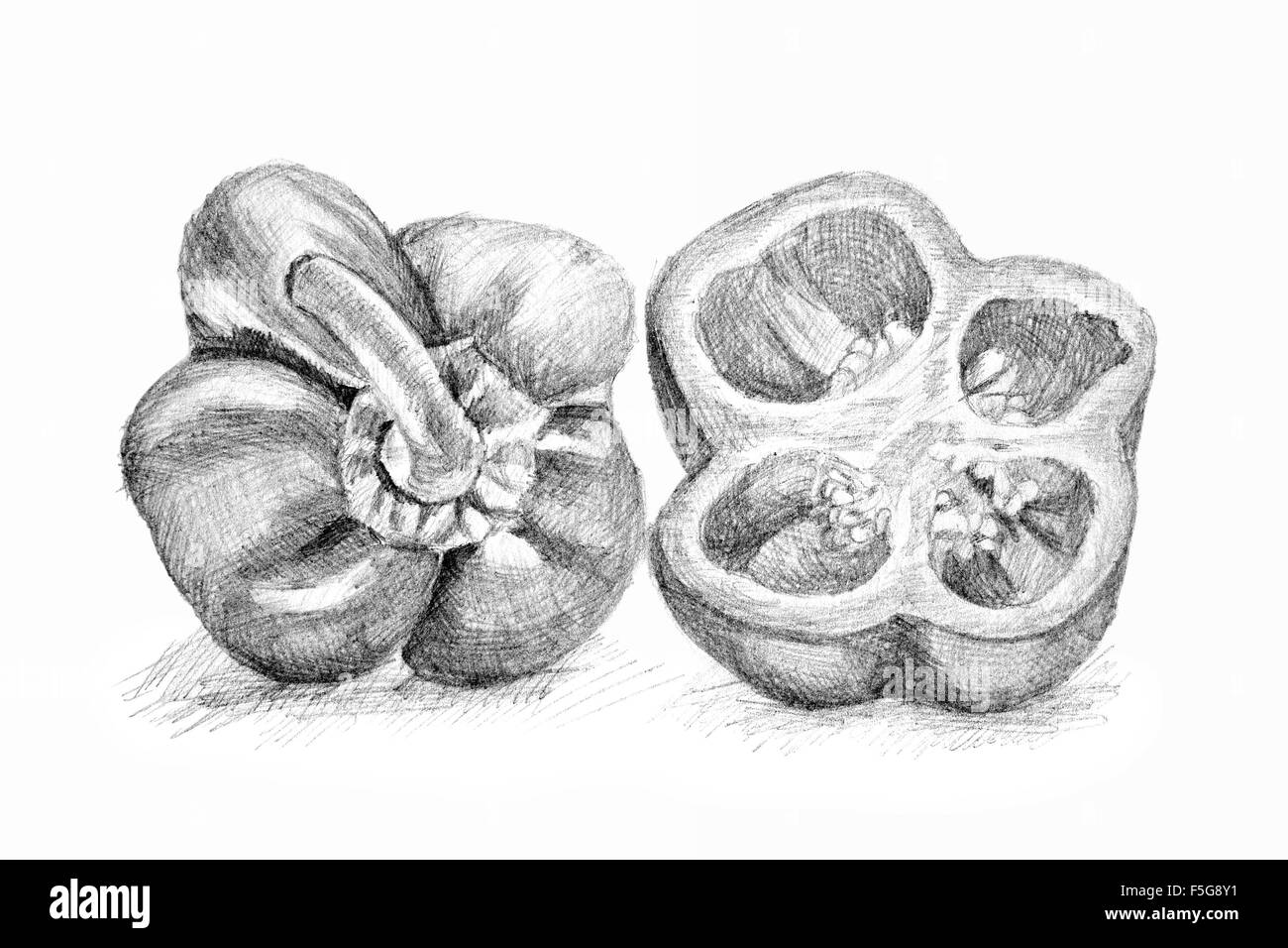 Dessin Au Crayon Par Le Poivre Ou Le Paprika Sur Le Livre