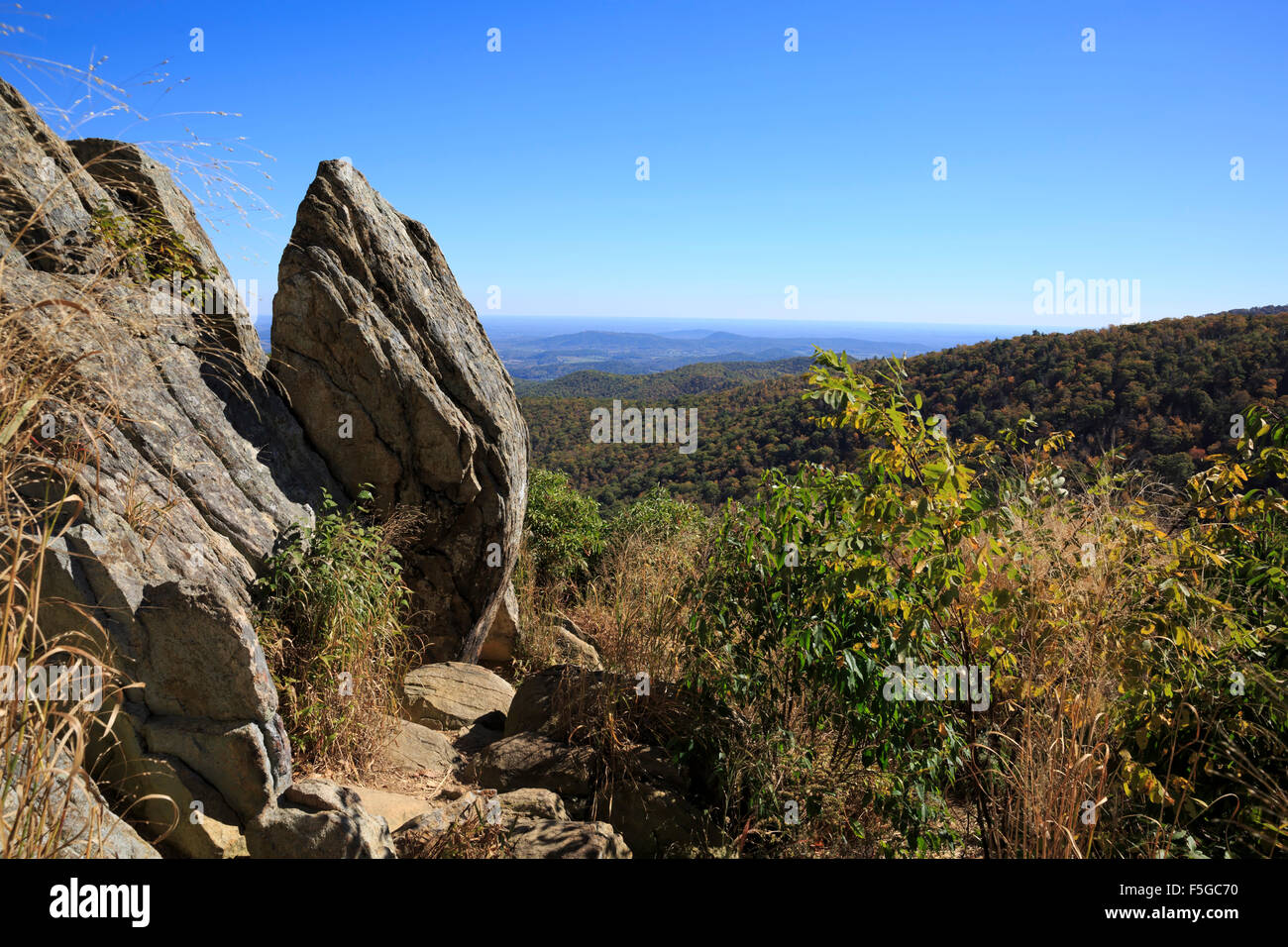 Donnent sur la montagne Hazel, Skyline Drive, Shenandoah National Park, Virginia Banque D'Images