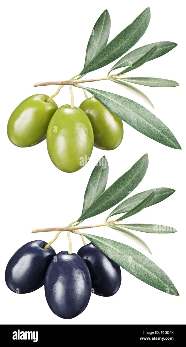 Olives vertes et noires avec des feuilles sur un fond blanc. Fichier contient des chemins de détourage. Banque D'Images
