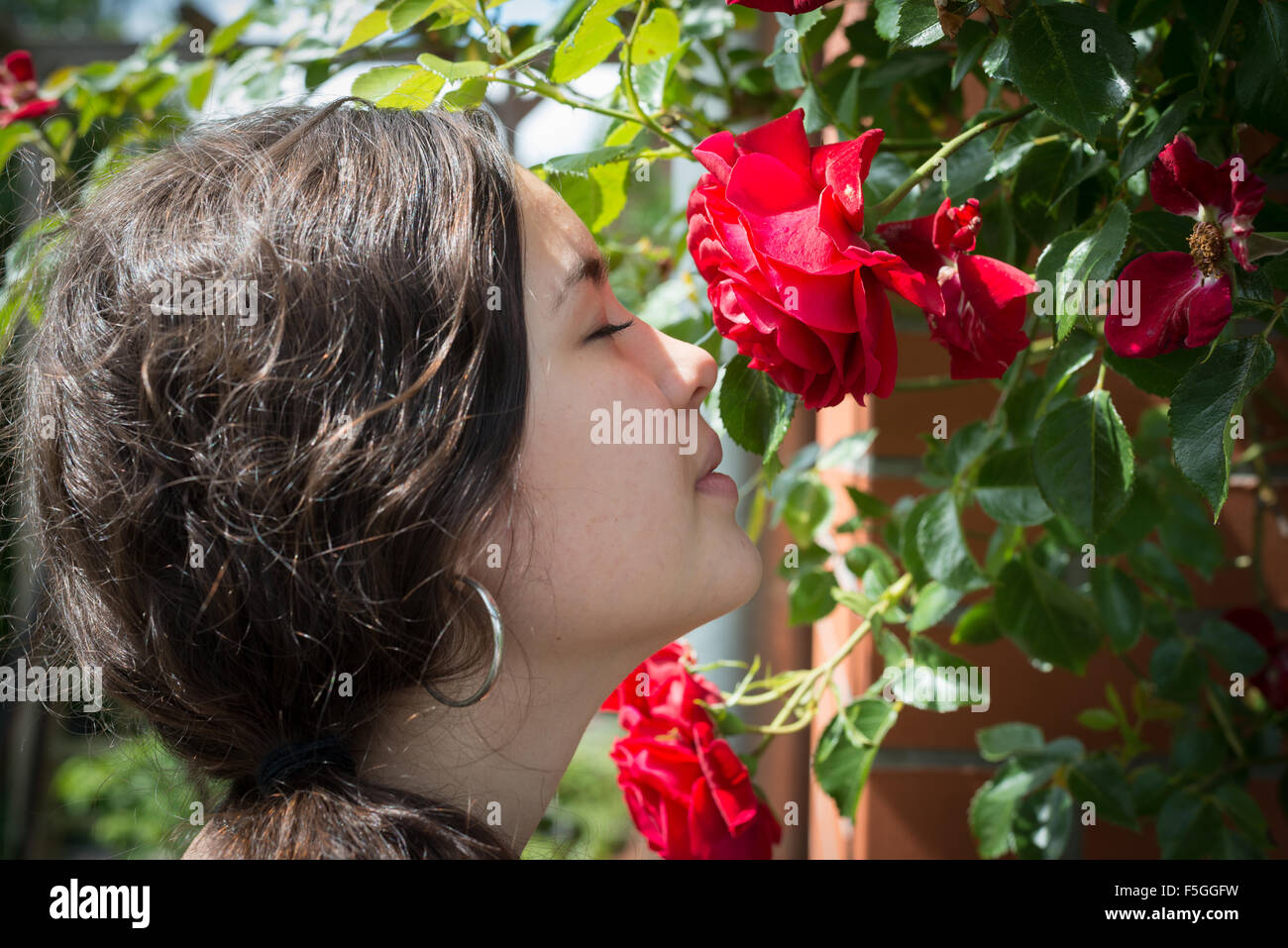 Hambourg, Allemagne, un Duftrose girl smelling Banque D'Images