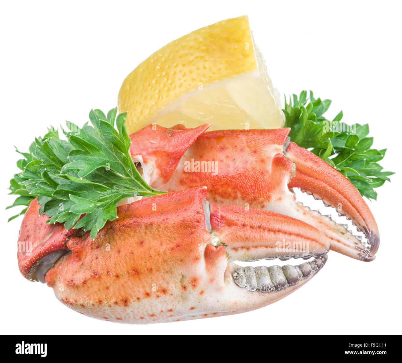 Pinces de crabe cuites avec du citron et d'herbes sur un fond blanc. Banque D'Images