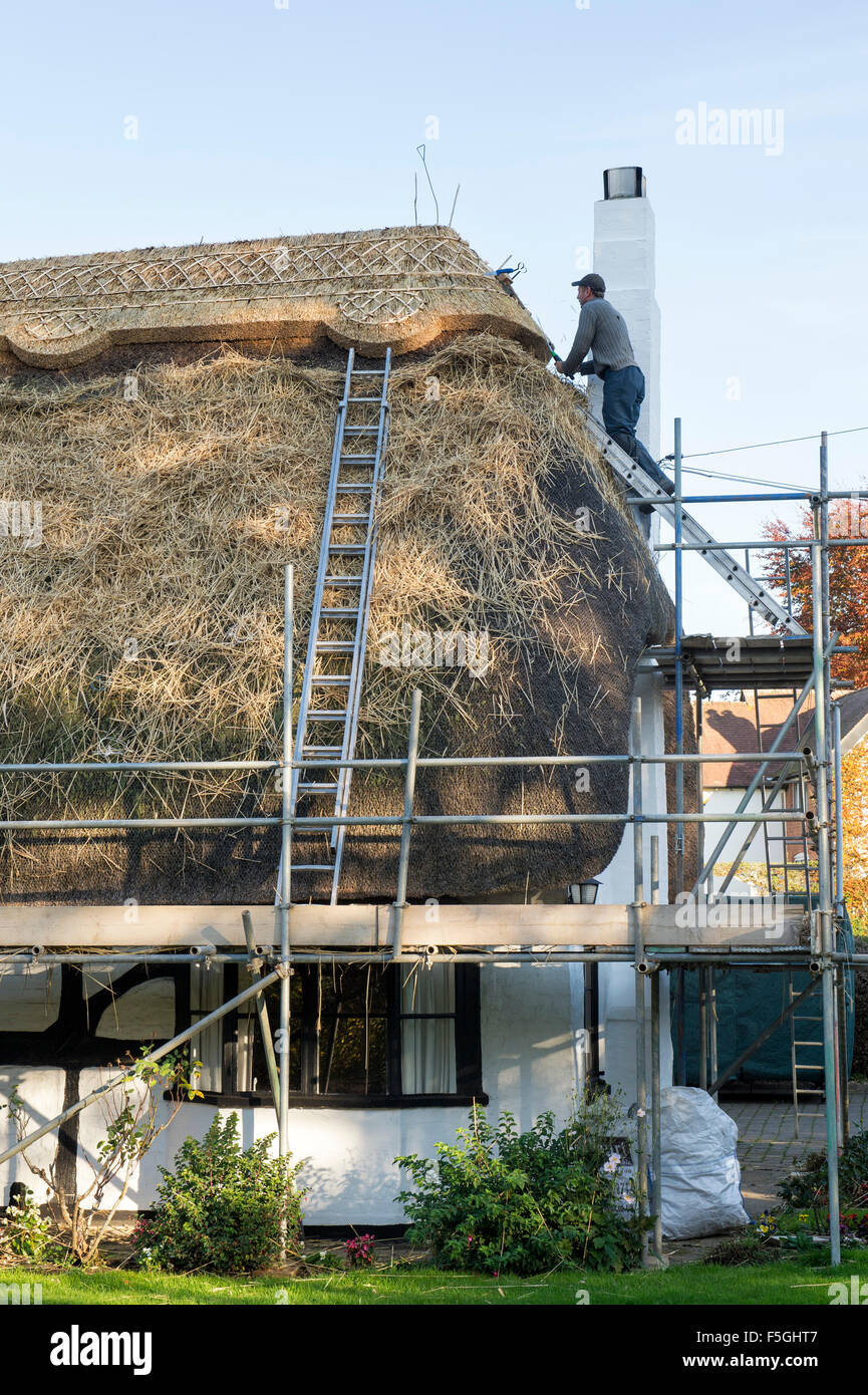 Maître Thatcher en patchant une crête dans un cottage cotswold. Portway, Upton St Leonards, Cotswolds, Angleterre Banque D'Images