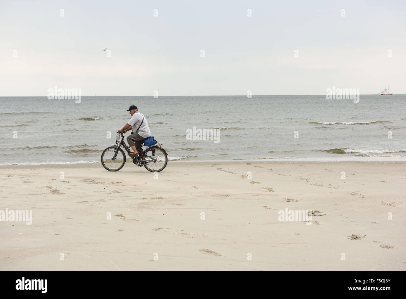 Nida, Lituanie, les cyclistes sur la plage à Nida Banque D'Images