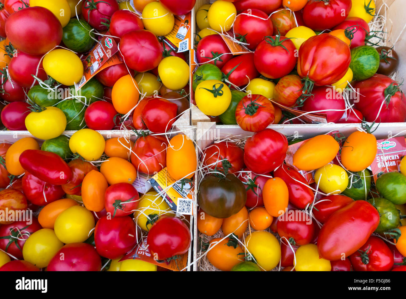 Les tomates du patrimoine multicolore sur l'affichage sur l'étal d'un marchand à l'automne en Angleterre Banque D'Images