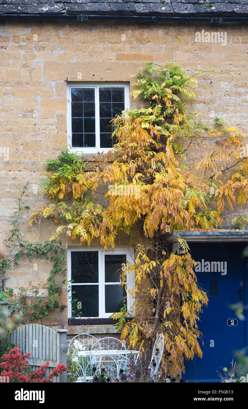 La glycine de feuillage de l'automne autour d'une fenêtre en baie Cotswold House. Naunton. Cotswolds, Gloucestershire, Angleterre Banque D'Images