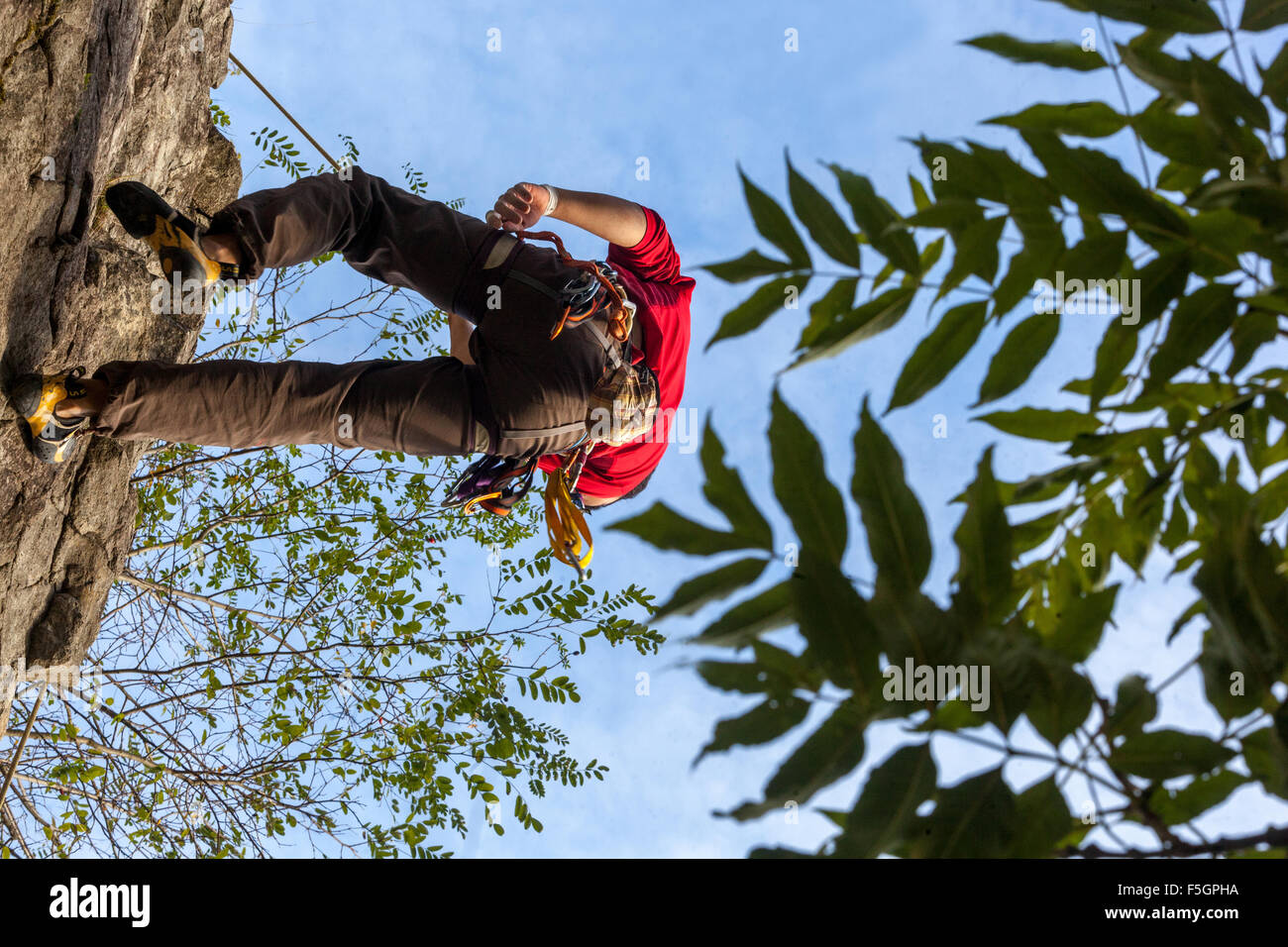 L'homme, Climber climbing up the rock face, République Tchèque Banque D'Images