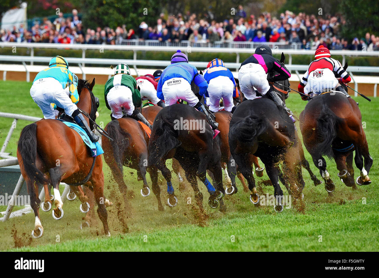 31 octobre 2015 - Lexington, Kentucky, États-Unis - 31 octobre 2015 : Le domaine entre dans la tour pour la maison dans le TwinSpires Breeders' Cup Turf Sprint (catégorie I) à Lexington, Kentucky, le 31 octobre 2015. Bob/Mayberger ESW/CSM Banque D'Images