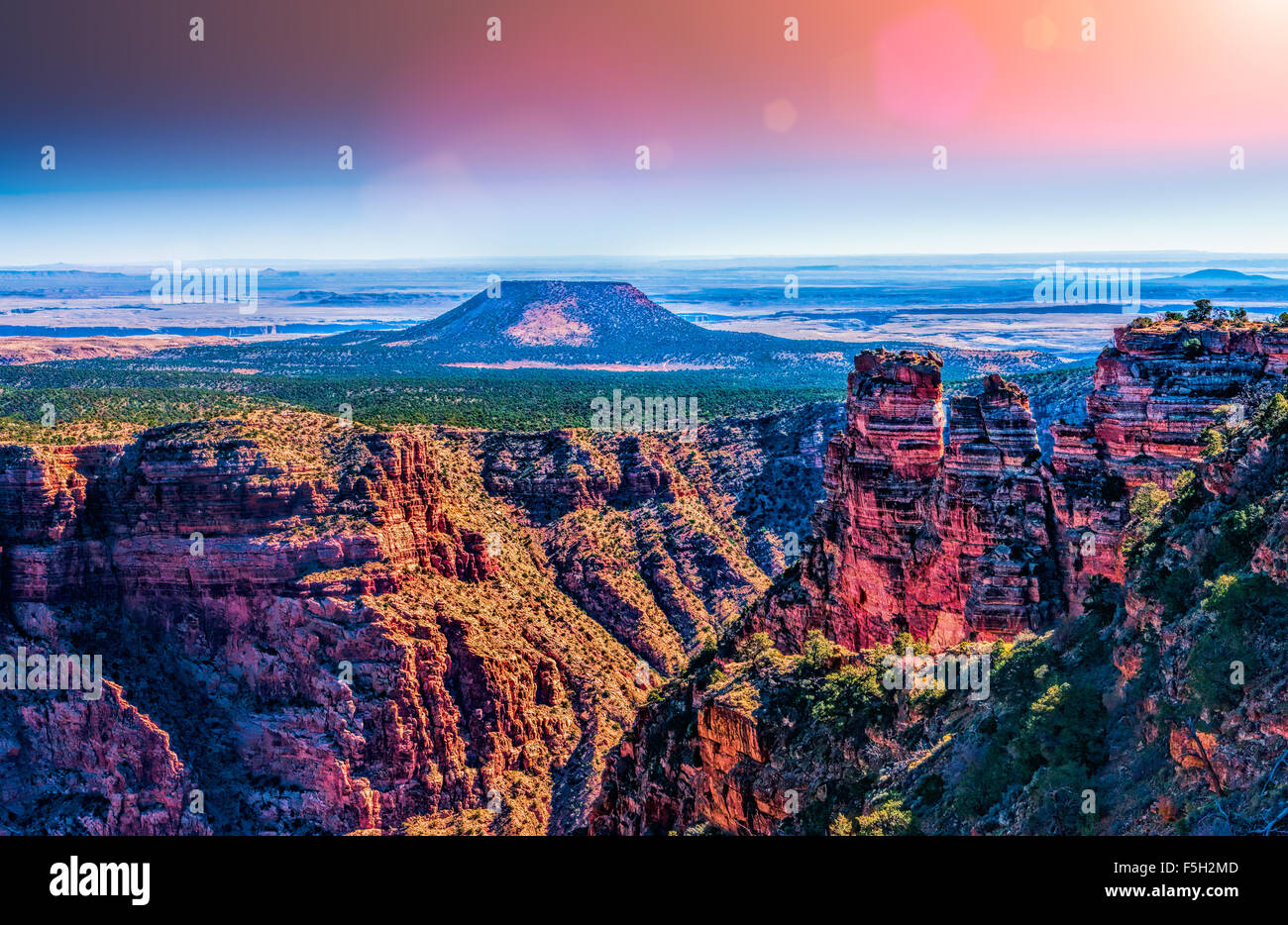 Grand Canyon, Cedar Mountain à Desert View, Arizona, USA Banque D'Images