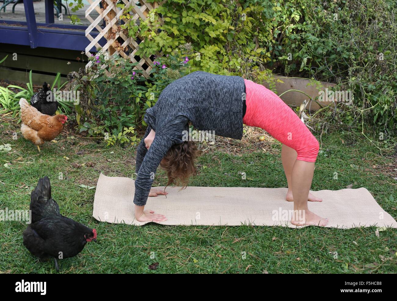 Une femme faisant du yoga à l'extérieur avec des poules à proximité. Banque D'Images