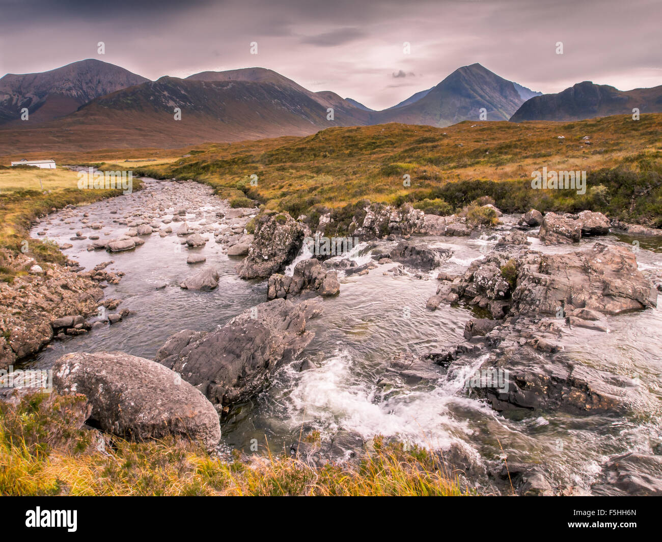 Le Rouge Cullin de l'île de Skye Banque D'Images