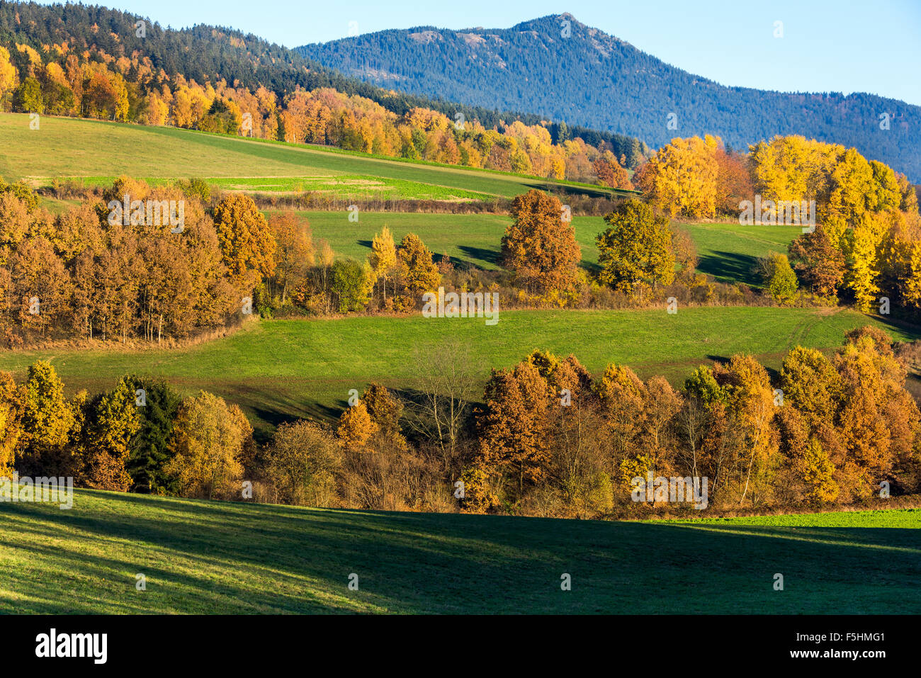 La campagne de la Forêt bavaroise d'automne, forêt de Bavière, soleil d'automne, "forêt de Bavière' rock, feuilles ciel bleu jaune rouge vert bleu Banque D'Images