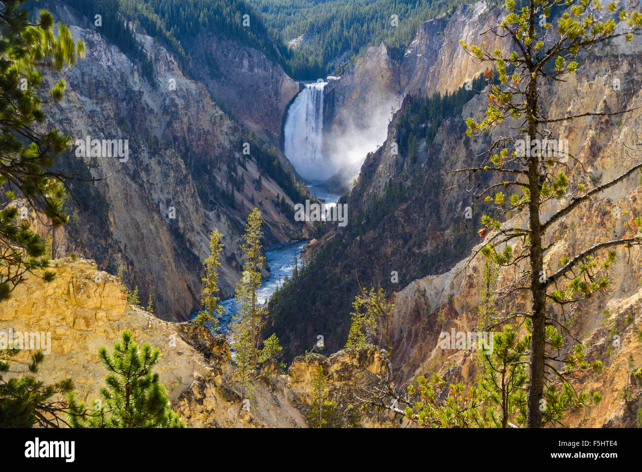 Lower Falls et Grand Canyon de la Yellowstone, provenant d'artistes Point, le Parc National de Yellowstone, Wyoming, USA Banque D'Images
