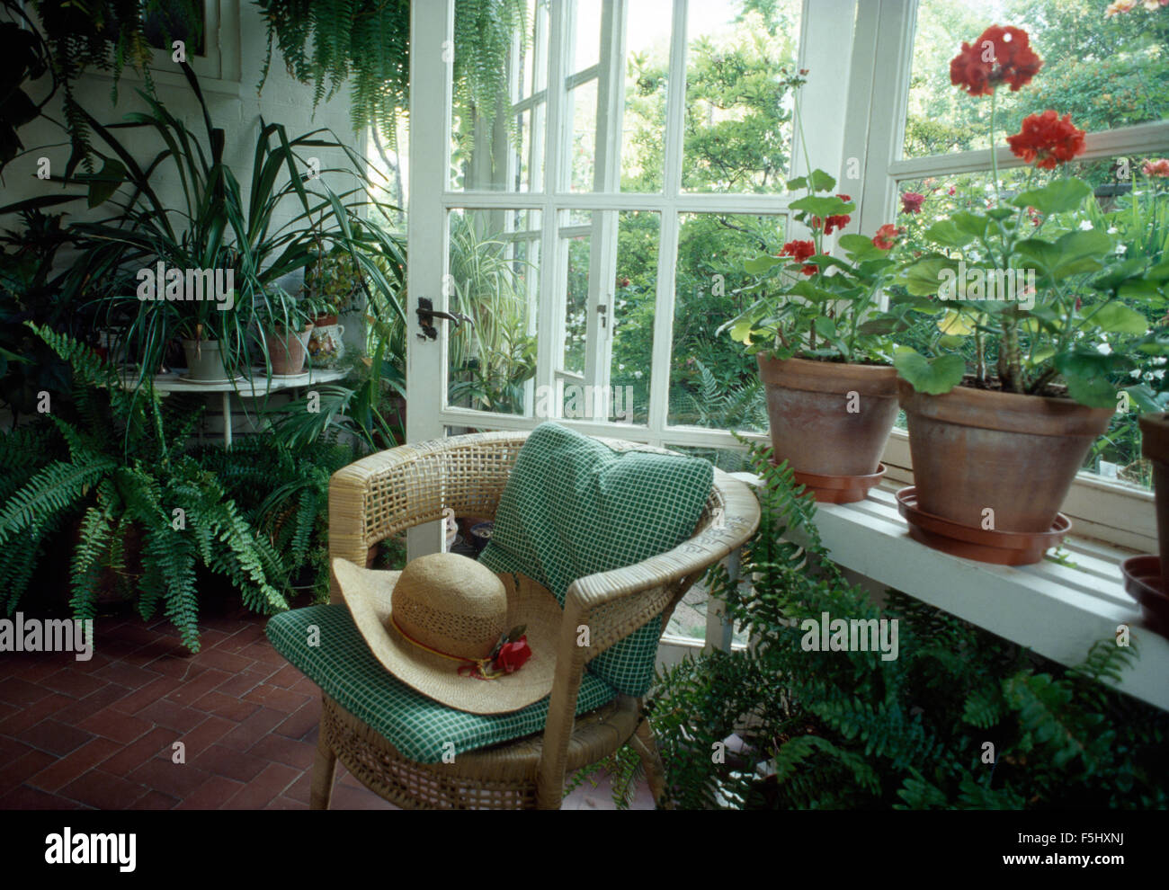 Coussin de chaise en osier vert sur les années 70 en véranda avec plantes vertes Banque D'Images