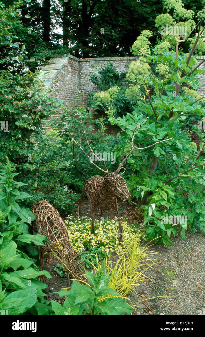 L'osier et de grands cerfs angelica en coin d'un jardin muré countrty Banque D'Images